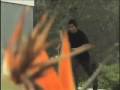 SK858 Natural High