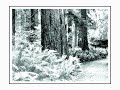 Rechenzentrum - \