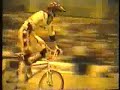 lee reynolds at holeshot 1987