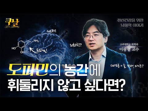 쇼츠·릴스에 절여진 뇌🧠를 위한 뇌화학 솔루션💡| 화학과 이광렬 교수