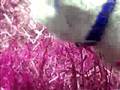 videos de Pyewackit
