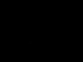 Search Video