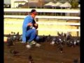 Pigeon Man The Movie (Full Compressed Version)