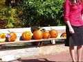 Sarah Palin's Halloween Speech (2008)