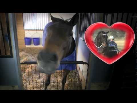 horse racing