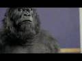 Cadbury's Gorilla vs Cameo 'Word Up' Remix