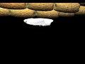 Neutrophil-Adhesion-