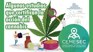 ALGUNOS ESTUDIOS QUE CERTIFICAN LA ACCION DEL CANNABIS