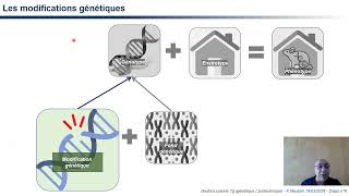 3R et gestion raisonnée des élevages murins expérimentaux
