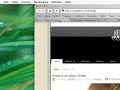 Handling Safari\