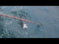 Tuna Trip - July \