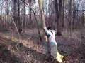 videos de ADAMS TREE