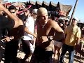 RAVE CAMALEAO biruta ALIEN PROJECT