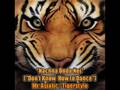 Nachna Onda Nei (Remix) by Mr. Asiatic