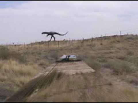 Painted Desert Dreams