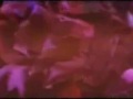 andre-mug-karmir-varder.html