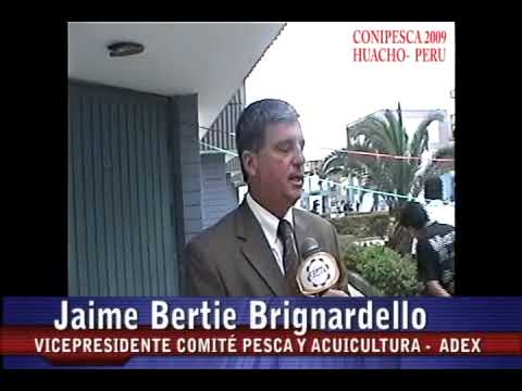 Imagen de previsualización de YouTube
