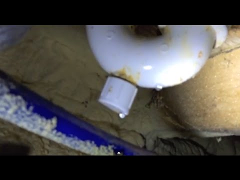 how to fix a bathtub drain leak
