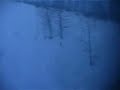 Поезд Комсомольск-на-Амуре - Тында. Восточный БАМ. Вид из окна поезда. Январь 2008.