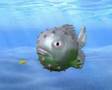 Bubblefish  