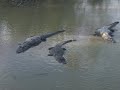 florida
