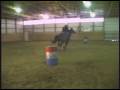 Horse Outtakes Jumper Barrel racing