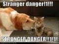 lol dogz