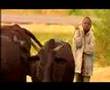 What Education Can Do (GCE Big Film 2007)