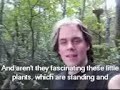 Botshing TV - Episode 32 - Mangroven Kuesten Suempfe Botshing TV - Episode 32 - Mangroven Kuesten Suempfe