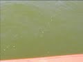 Barra fishing at Monduran