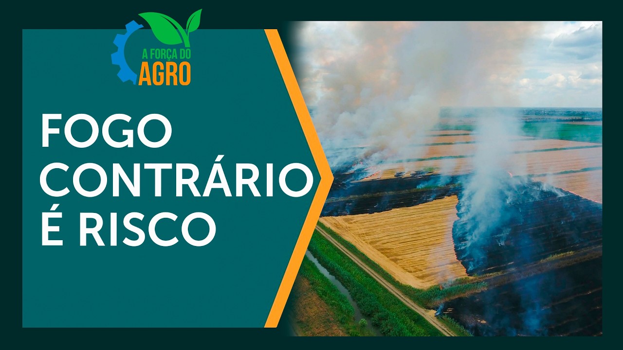 Incêndios em lavouras: por que NÃO usar 'fogo contrário' | A Força do Agro