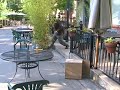 Bees in Ashland