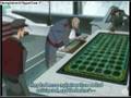CodeGeass Episode 1