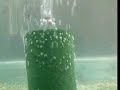 Video ?� b?t 5 sao