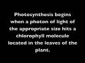 videos de Photolysis