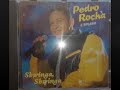 Pedro Rocha - Shwinga