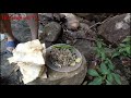CHắT CHắT "SIêU NGON SIêU CAY QUảNG BìNH