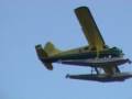 Hydravion Beaver