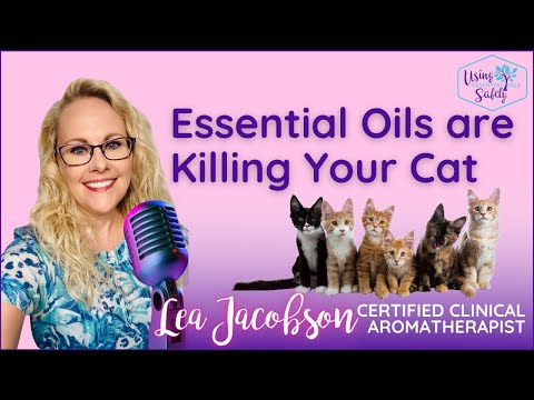Essential Oils Are Killing Your Cat