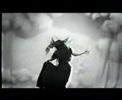 Taxidermy Video