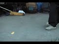 Richard Nguyen Cripping Richard Nguyen Cripping