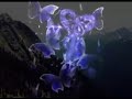 Saikai Story - Gackt