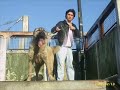 KangaL 1ayliktan 7aylika RESIMLERI Belcika Sahibi: Erdem. KangaL 1ayliktan 7aylika RESIMLERI Belcika Sahibi: Erdem.