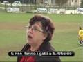 Gatti a S.Ubaldo