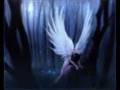 videos de dans mes reves.wmv