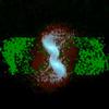 Astrophysics Video 29