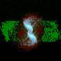 Astrophysics Video 29