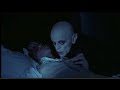 Herzog Trailer