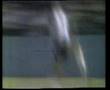 Maradona El firulete