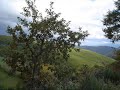 paisajes del bierzo   valverde de balboa   león